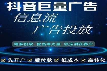 XX领域竞价广告的投放策略及效果展示